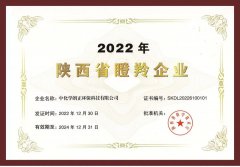 喜报丨中化学朗正荣膺陕西省瞪羚企业殊荣